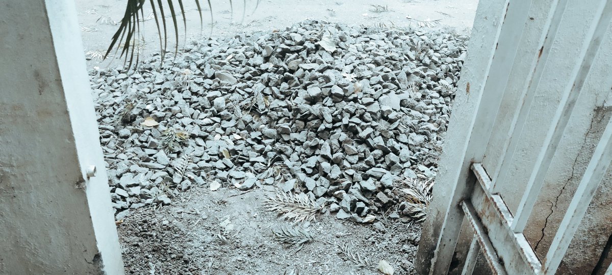 RdeepMegha's tweet photo. @mngl_in  @my_nmc  mngl you destroyed our colony road and did work half done we are facing problem when you going to do ur job. https://t.co/3tiGRSoLTg