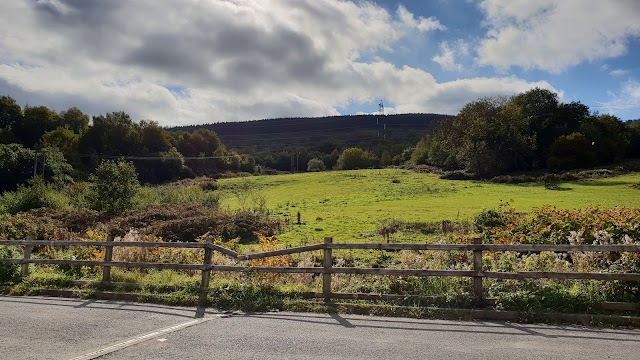 randompubbot's tweet image. Llwyn Yr Eos Inn; Llwyn-Yr-Eos, Abercannaid, Merthyr Tydfil CF48 1AJ, UK google.com/maps/place/?q=…