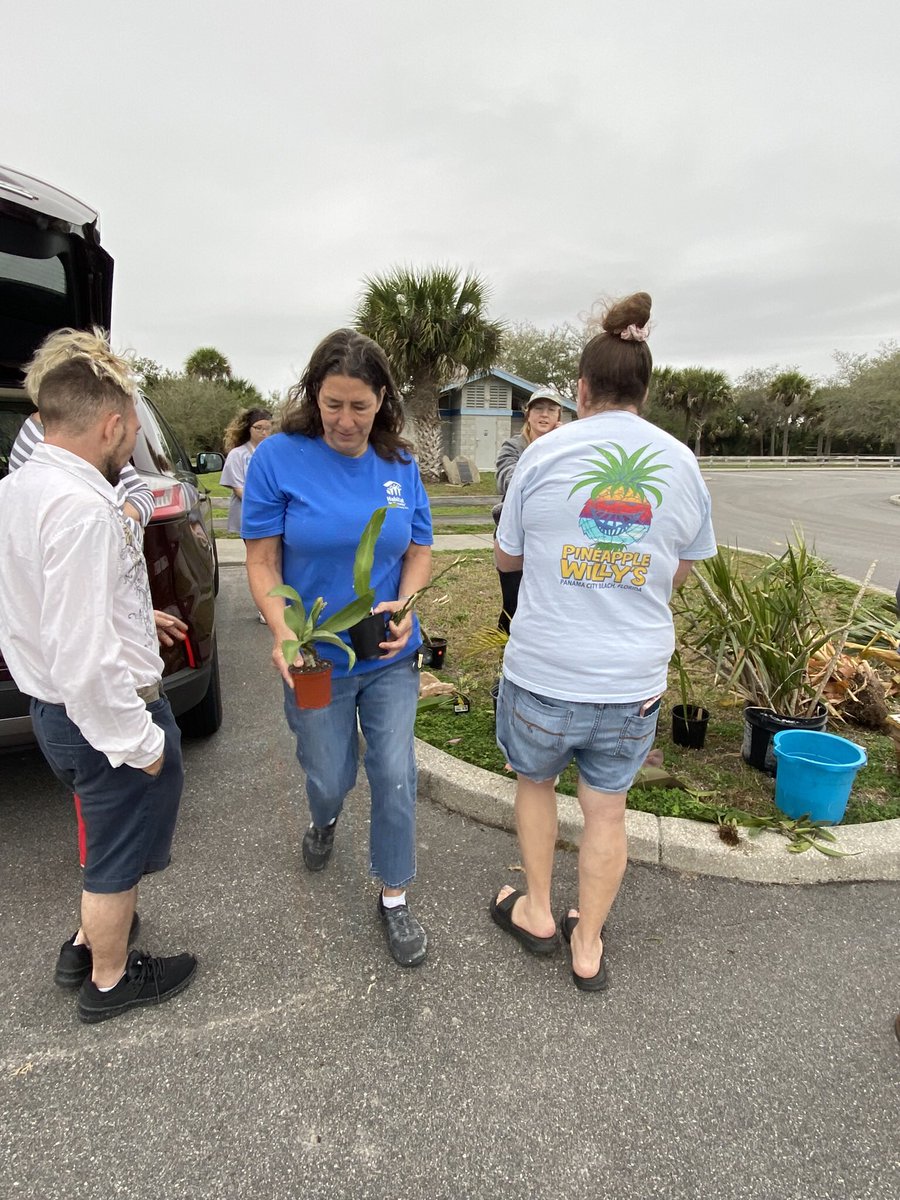 gardengirls_us's tweet photo. We host #plantswaps! Where you show up, bring a plant, cutting, pot, anything garden related, and you put it in a pile; then everyone picks what they want. The plant swaps have been wildly successful! Looking forward to hosting more. Look for our next one ☝️ @AceHardware https://t.co/3qsQDGixi3