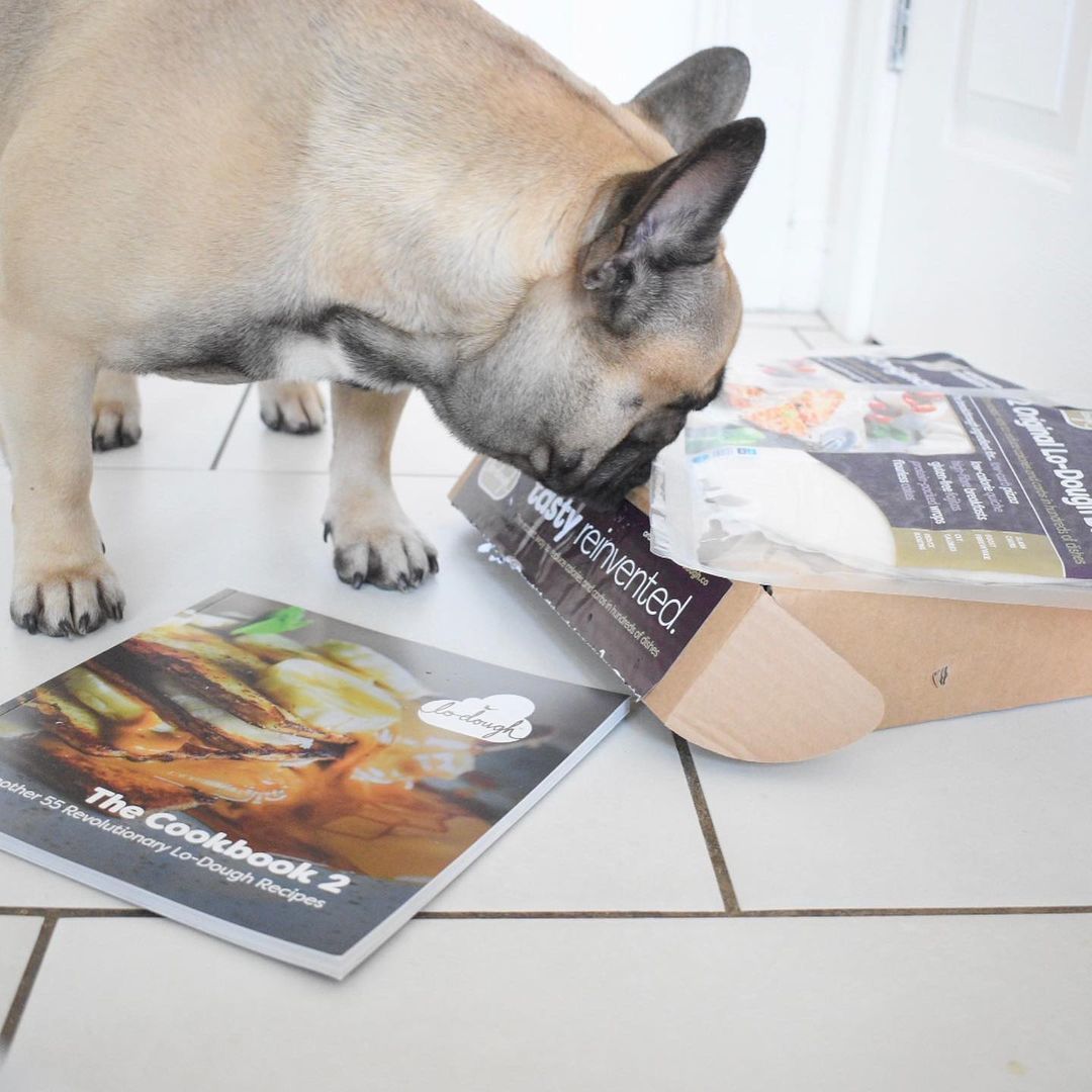 Lo-Dough tweet media