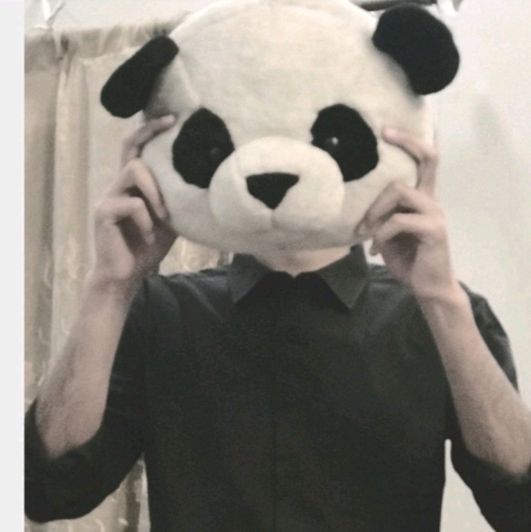 mythic_bot1's tweet photo. #NewProfilePic https://t.co/8SwrlZAnvb