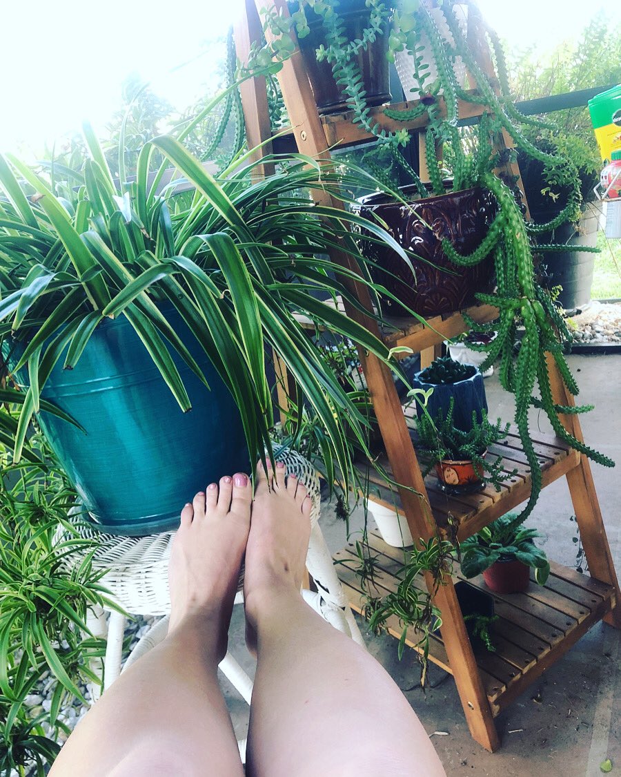 gardengirls_us's tweet photo. #mood #florida #spacecoast #happyfeet #garden #plants #plantlady #succulents #cocoabeach #plants for #rent https://t.co/Q7MkJOLHr1