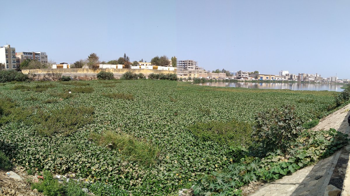 SEPIA_Conseils's tweet photo. Echanges autour du bassin de rétention de Zone de Captage, pour présenter au Maire de #Dakar la philosophie du projet de valorisation de cet espace de 8ha , destiné à gérer les #inondations urbaines en plein cœur de #Dakar, auquel SEPIA Conseils a contribué @WaterForum9 https://t.co/y5PcBCMMLz