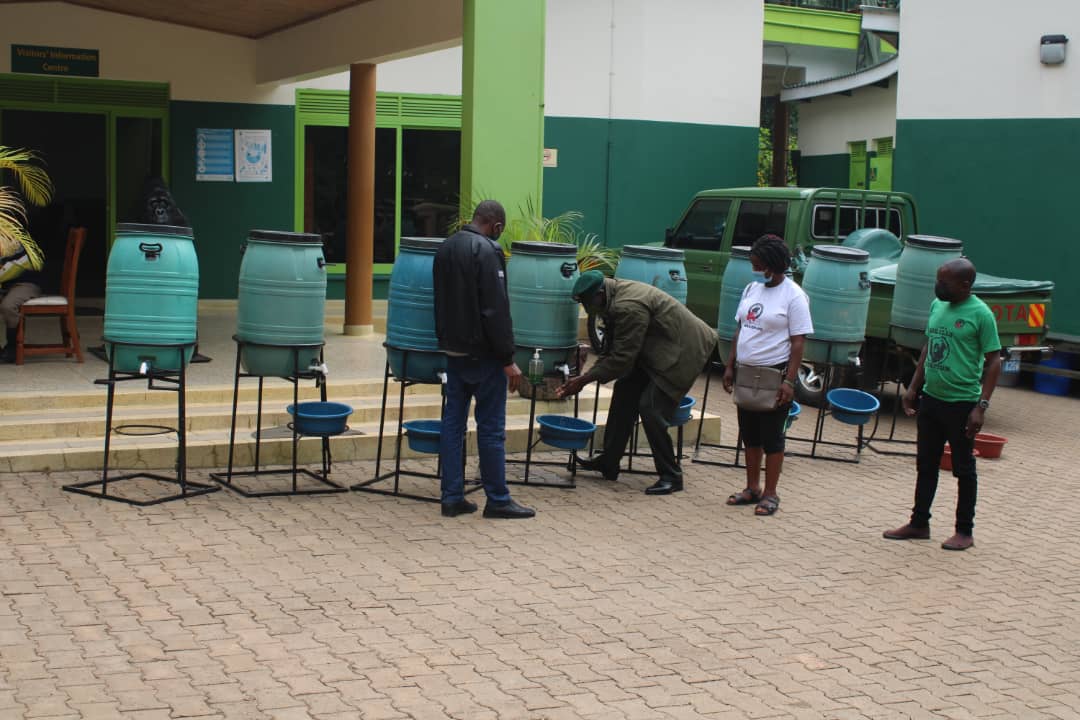 CTPHuganda's tweet photo. Last week, our team delivered 10 non-contact handwashing facilities to @ugwildlife at Buhoma-Bwindi Impenetrable National Park, donated by @tusk_org under CTPH's project 'Promoting gorilla conservation through expanding health and livelihood benefits at BINP.'
#ForRangers https://t.co/GY6yNfUPZx