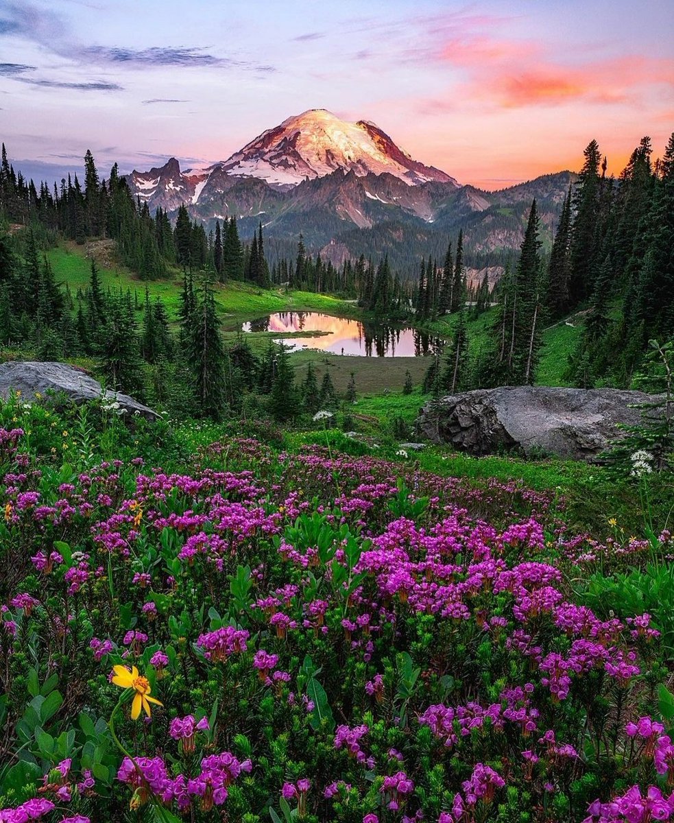 Fateme_14's tweet photo. Good day.

#NaturePhotography #nature https://t.co/F2JbkW9J4R
