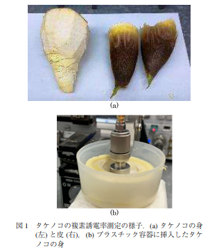 慶應義塾大学理工学部田邉研究室 Takasumi Tanabe Keio Photon Twitter