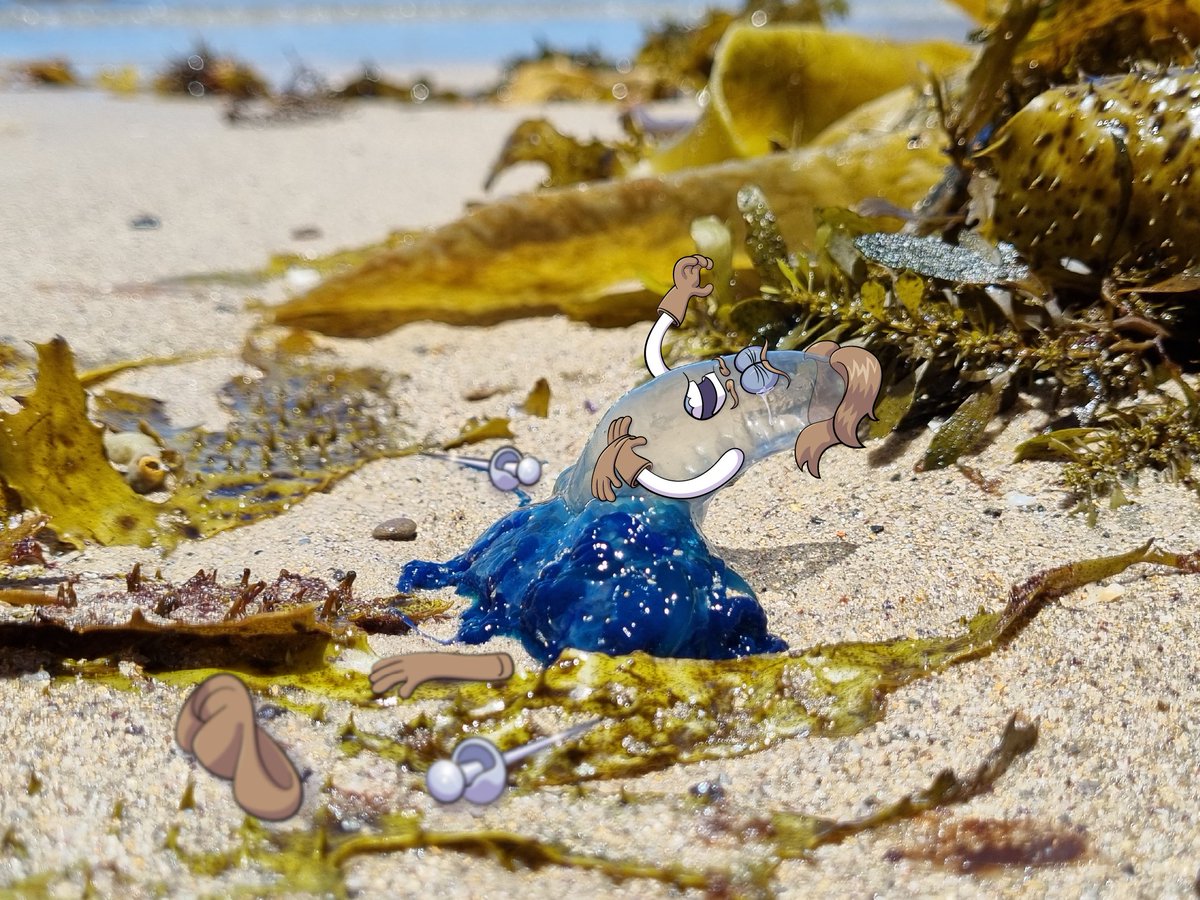 Wen PMOW launch I hear you good sers cry? Soon frends, soon. The armada are approaching and ready to seek vengeance for their fallen brethren. 

#portugesemenowar #pmow #stingerszn