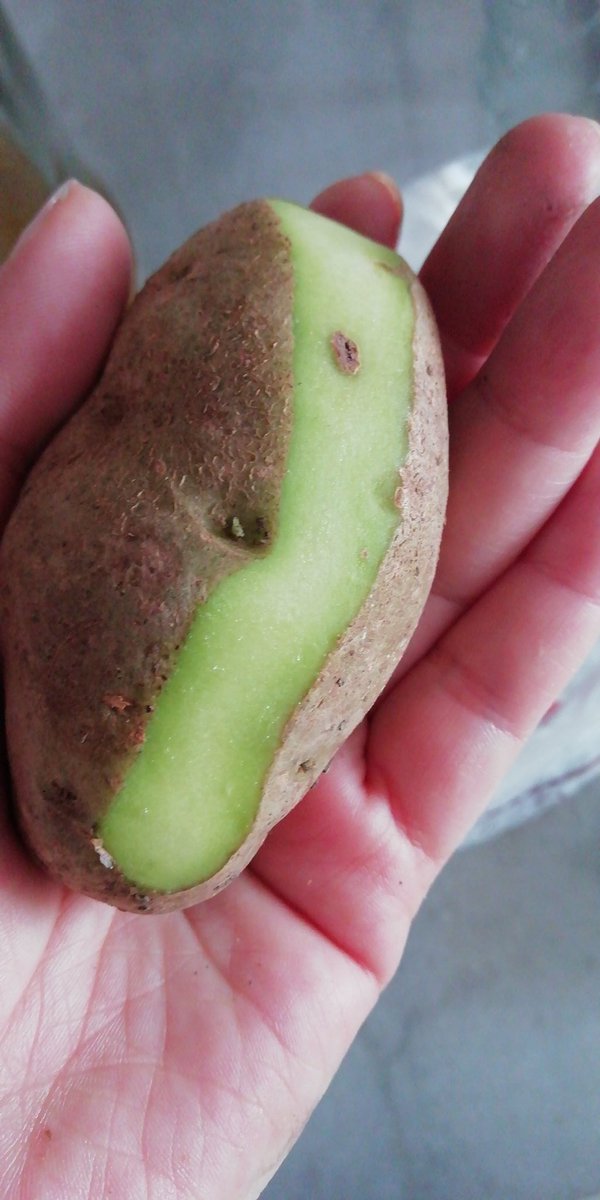 A101 uzaylılara özel patates satışına başlamış.
Evrensellikte A101 gibi ol!
Tşk A101🌹