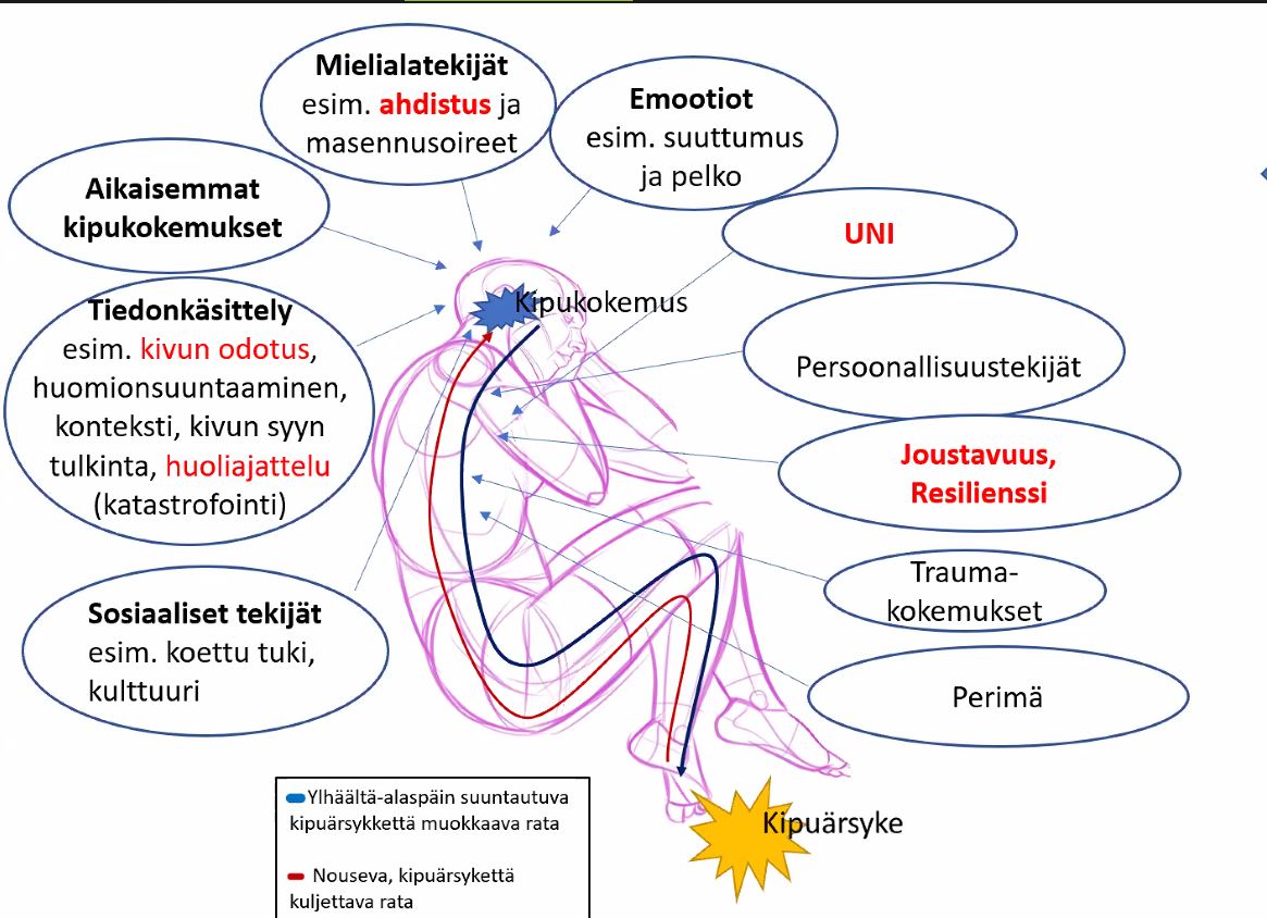 ArjaBrandstack's tweet photo. Duodecimin Oppiportin webinaarin aiheena oli Lääkkeettömän kivunhoidon perusteet. Kivun  biopsykososiaalisessa  mallissa keskityttiin kehon ja mielen tulkintaan. #eksote #kuntoutus #eksotekuntoutus #kipu #duodecim https://t.co/tF5OPWfSl6