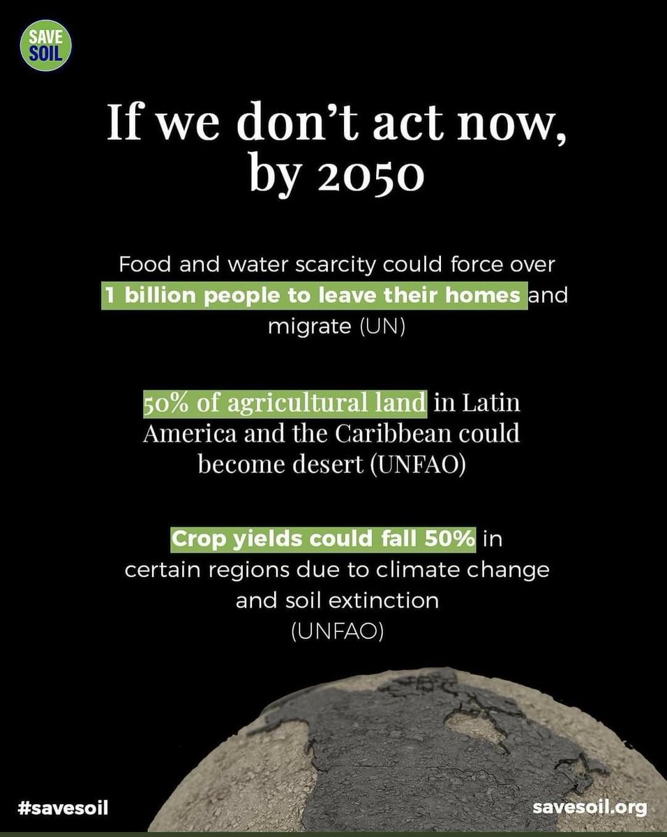 tune_to_tina's tweet photo. @colours_stories I agree. For the sake of the planet, for the sake of humanity. #savesoil https://t.co/tFiUd0l0VY