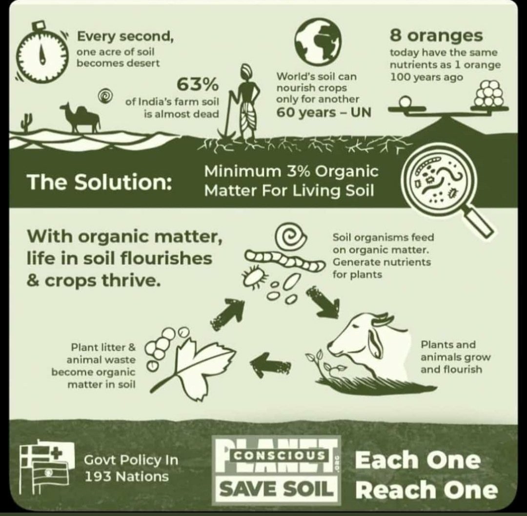 tune_to_tina's tweet photo. @colours_stories I agree. For the sake of the planet, for the sake of humanity. #savesoil https://t.co/tFiUd0l0VY