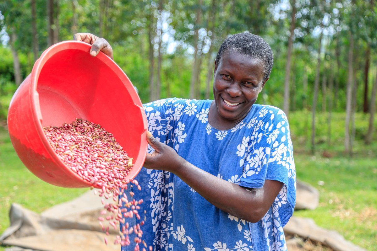 Tobacco Control and Health Promotion Alliance tweet media