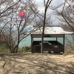 小豆島国際ホテル【公式】恋人の聖地エンジェルロードに一番近い宿★全室オーシャンビューのツイート画像