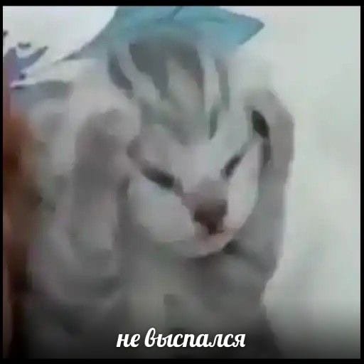 Grey_smoke_'s tweet photo. Лайк если https://t.co/Q0L5hyTeaF