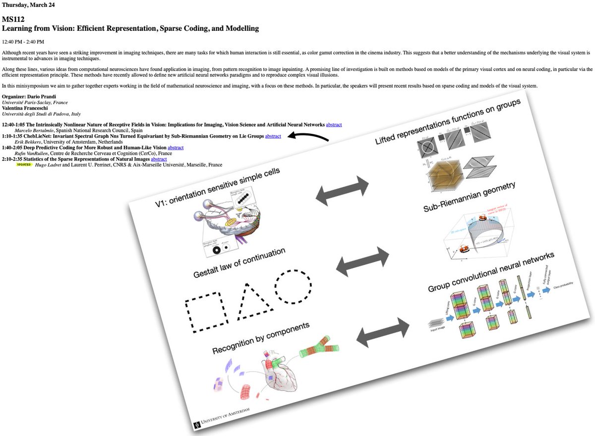 For those (virtually) at SIAM Imaging Science '22 #SIAMIS22: There's this amazing session on 'Learning from Vision'. I'll be speaking at 18.10 CET (times below in UTC-4) about equivariant graph NNs using sub-Riemannian geometry😎(cf arxiv.org/abs/2111.12139 w @m_deff & Aguettaz)