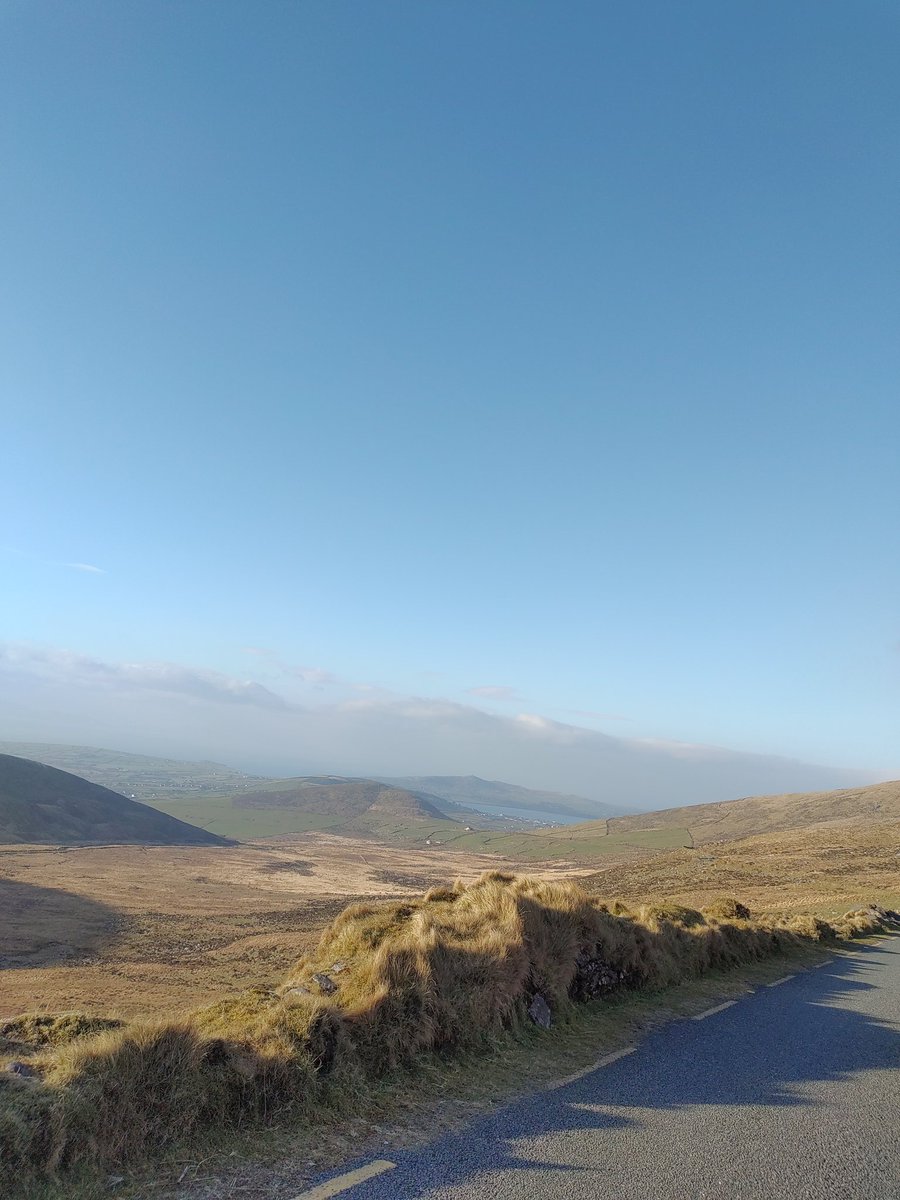 Mike Fitzgerald tweet media