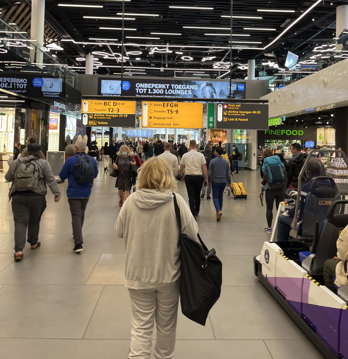 Hoop Dreams Basketball 🏀🧠 tweet media