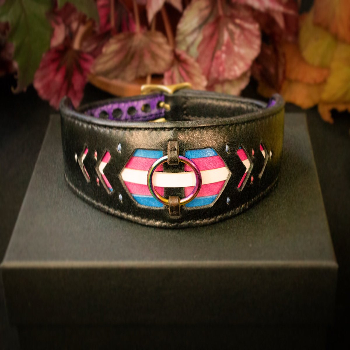Premium leather pride choker.Available now with different flag, centre ring...