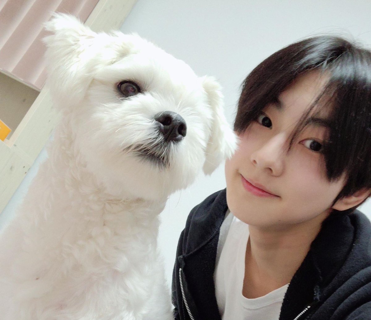 jeonsoub 🐈 รัก น จ ว 🌻 tweet media