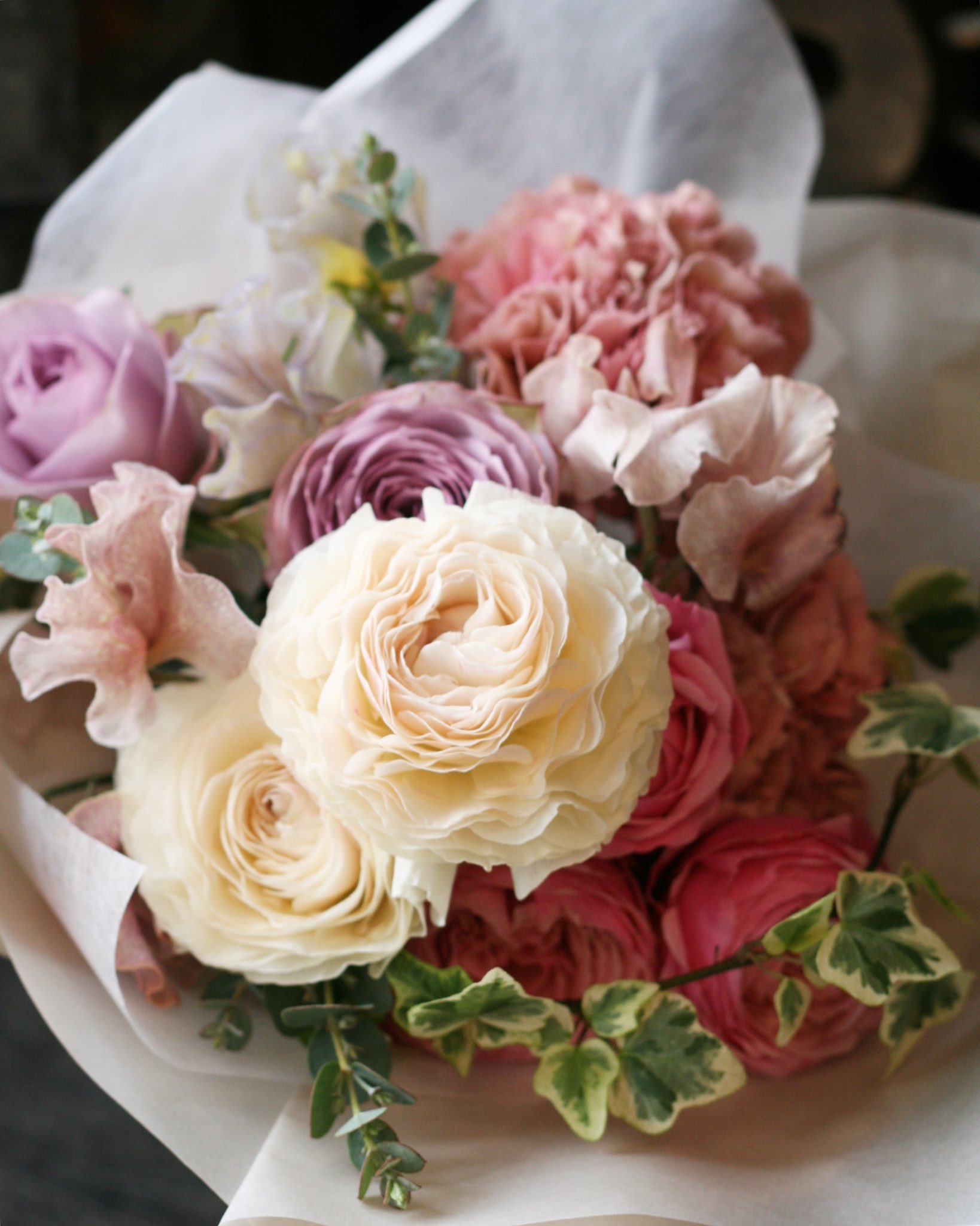 Atelier Toco Atelier Toco Twitter