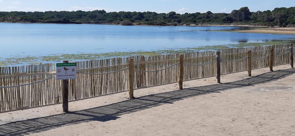 DevesaAlbufera's tweet photo. 🪧🪢Protegim trams dunars a l'Arbre del Gos i la Garrofera, i reforcem el tancat de l’estany de Pujol per preservar hàbitats d'interés de fauna i flora vulnerable, principalment de nidificació d’aus🐦com el corriol, la mongeta, el xatrac i gavina corsa.
ℹ️https://t.co/KnhfUrngsz https://t.co/3XQJYQt7qi