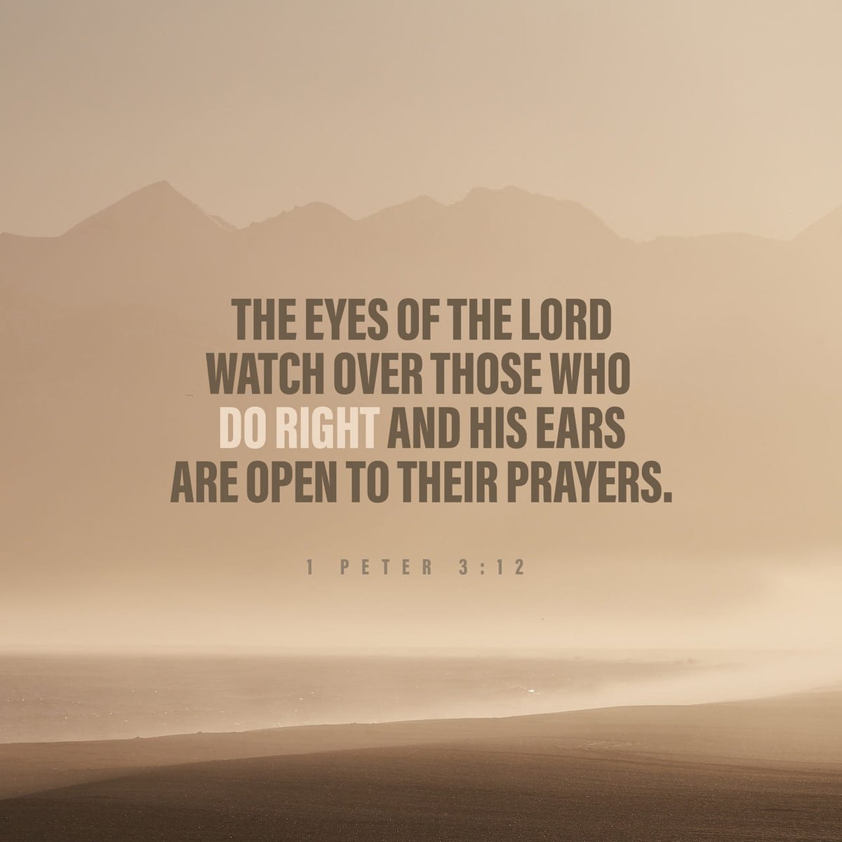 YouVersion Bible App tweet media