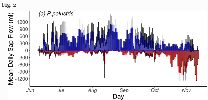 plantandsoil's tweet photo. The Editor’s article choice "Interspecific variation in the timing and magnitude of hydraulic redistribution in a forest with distinct water sources" read it here: https://t.co/PW6bJkILQm
#PLSO #hydrauliclift #droughtresistance #rootprofile https://t.co/bsTbGXkzIn