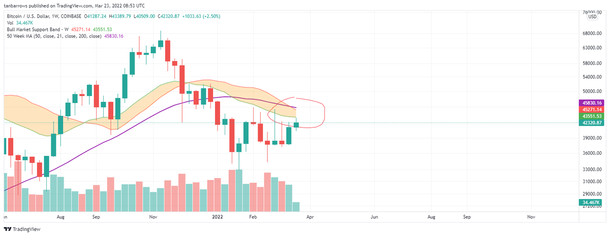 nocity24's tweet photo. @TeddyCleps could also be bearish, the bull market support band has fallen below the bull market support band. https://t.co/S9HfByNUhu
