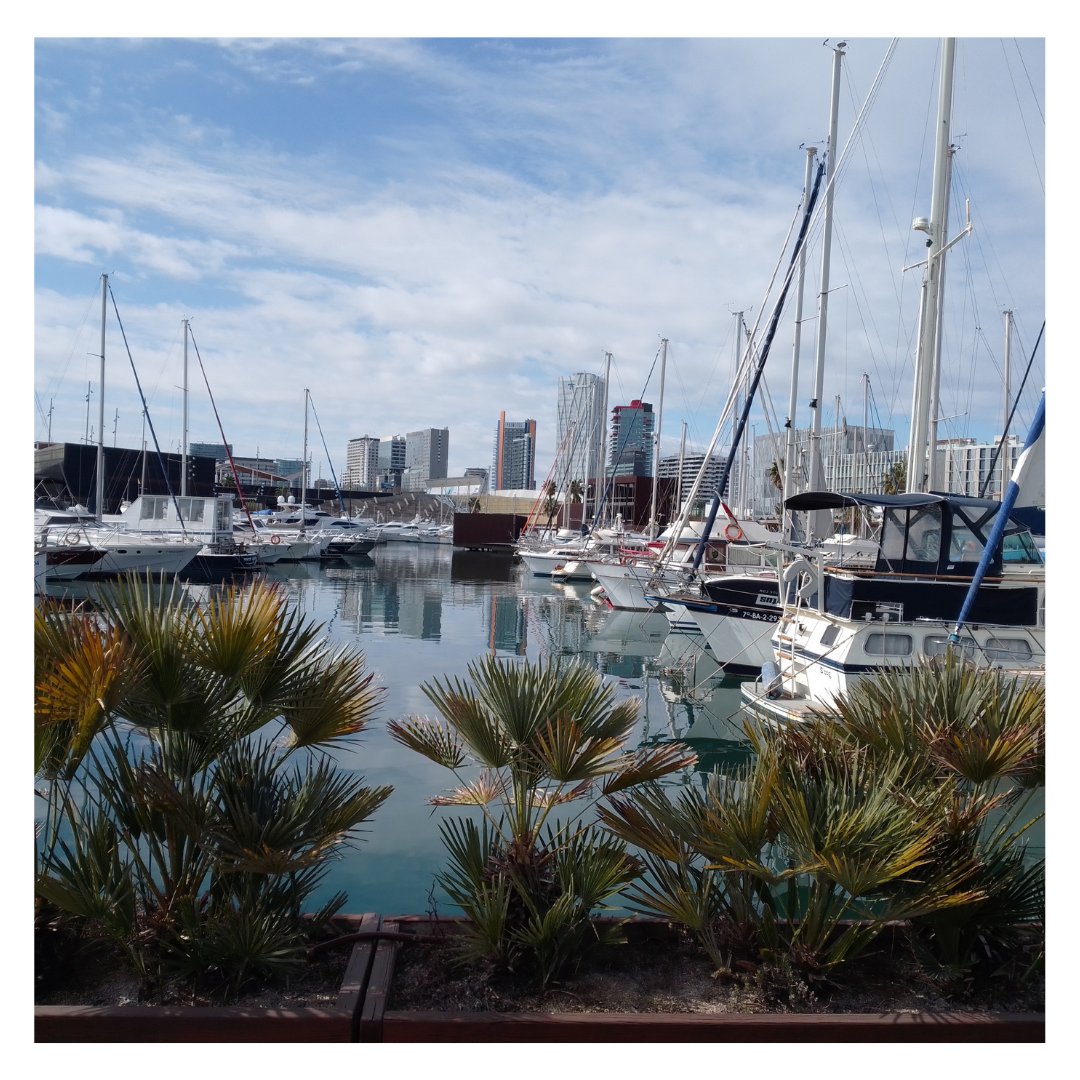 ℹ️ <a href="/port_forum/">Port Fòrum</a> el Port de la Diagonal.
#beforum