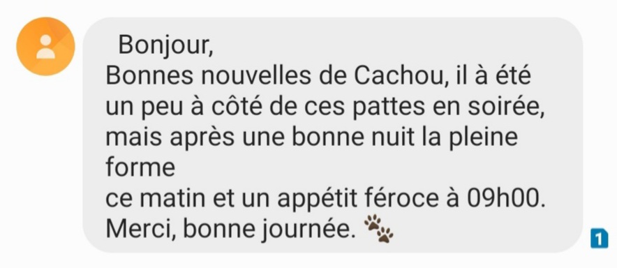 Doc_Natacha's tweet photo. Certes #lesgens 🙄 mais aussi #lesgens 💕 et c'est ce qui nous sauve chaque jour du désespoir. #clientdujour ✨ https://t.co/mFBvpODELj