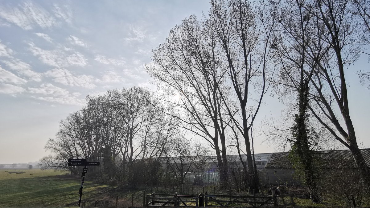 Early morning skies on a clear spring day
-
#morningskies #skies #trees #nature #countryside #hertford #herts #igersherts #igersuk