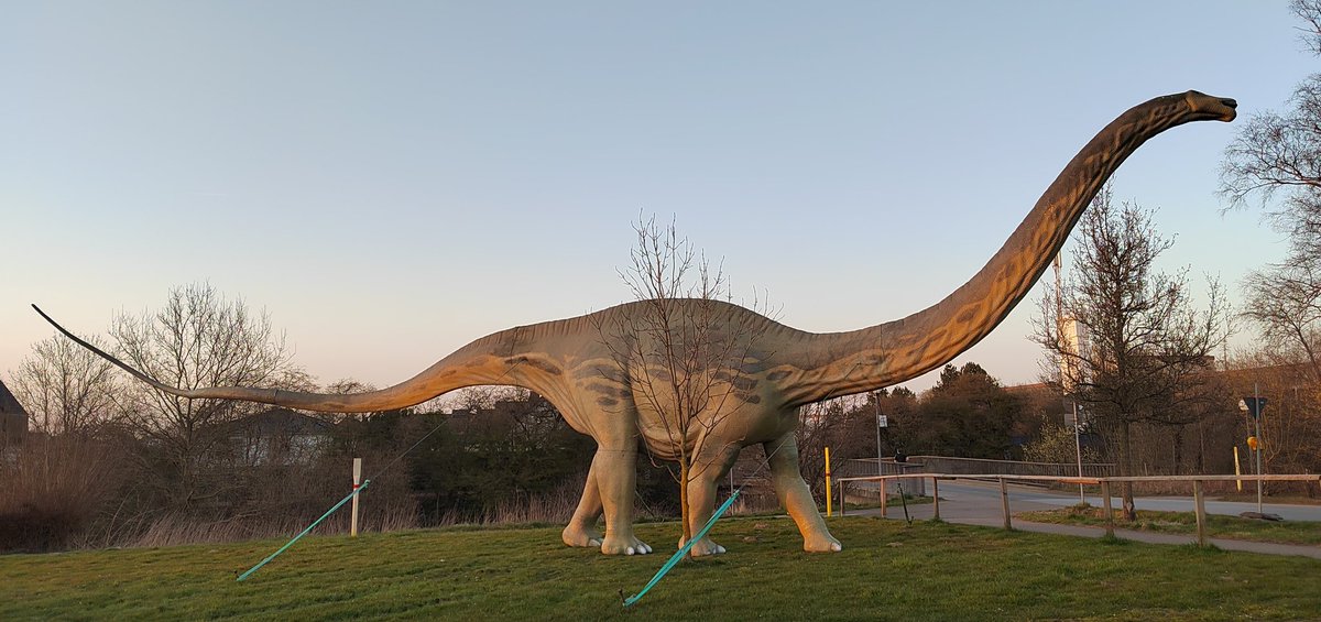 Was einem alles so über den Weg läuft beim abendlichen Spaziergang 😉
