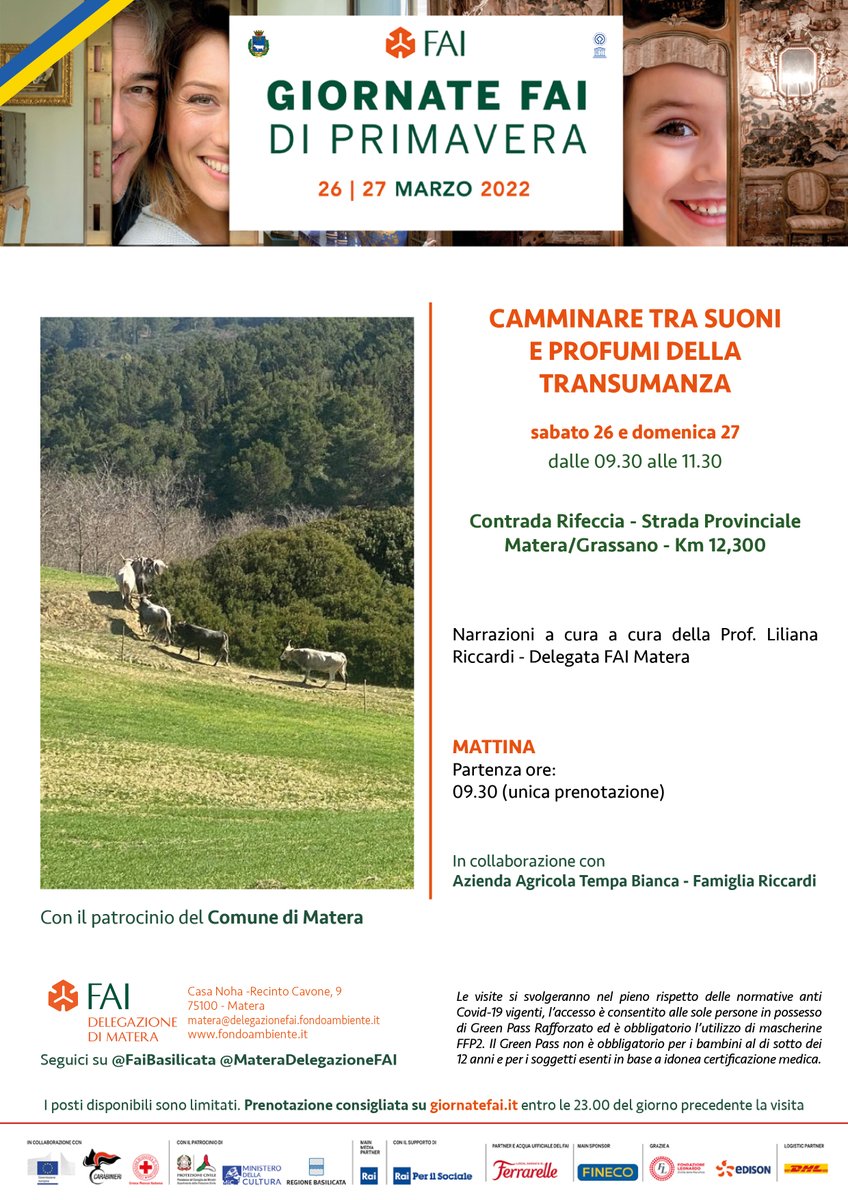 FAI_Matera tweet media