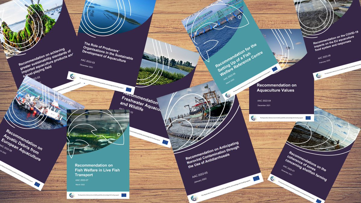 We have published 10 recommendations to @EU_MARE and the EU Member States in less than 3 months!🏅
▶️available in several EU languages on our website.🌍🐟🦪shorturl.at/dkoC4 #fishhealth #fishwelfare #marinelitter #predators #data #foodsafety #COVID19 #foodsecurity #POs