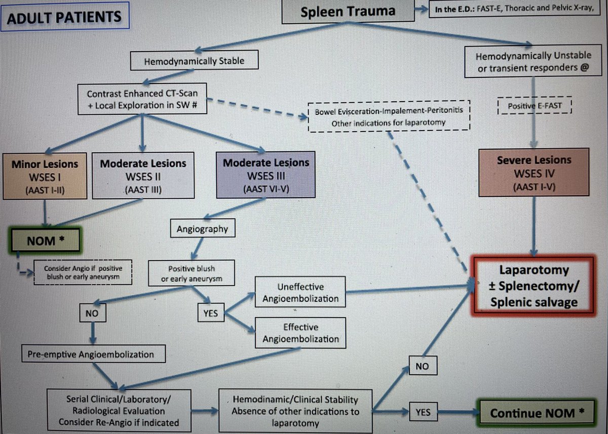 Interesante cuestión planteada ¿qué haríais? ¿Ante un trauma esplénico wses III, estable, donde se realiza manejo conservador…solicitaríais embolización? <a href="/tejadantonio1/">Antonio Tejada 🇪🇸</a> <a href="/RocioMMojarro/">Rocío M.Mojarro</a> <a href="/pablo_beltranM/">Pablo Beltran</a> <a href="/RafaelBalongo/">Rafael BALONGO</a> <a href="/manzanomi40/">manzanomi</a>