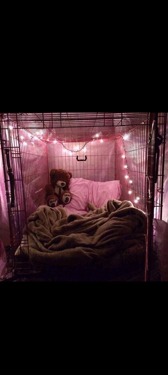 欢迎回家，小狗
#母狗 #调教 #ddlg