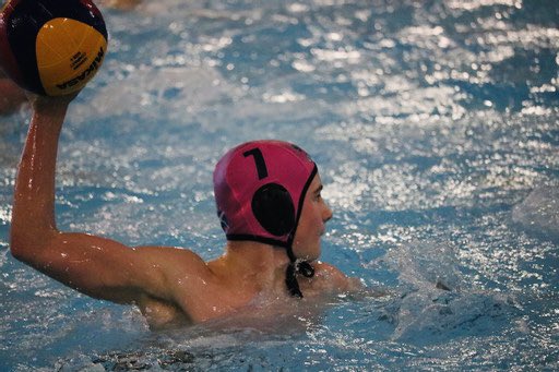 Alison Sheppard MBE tweet media