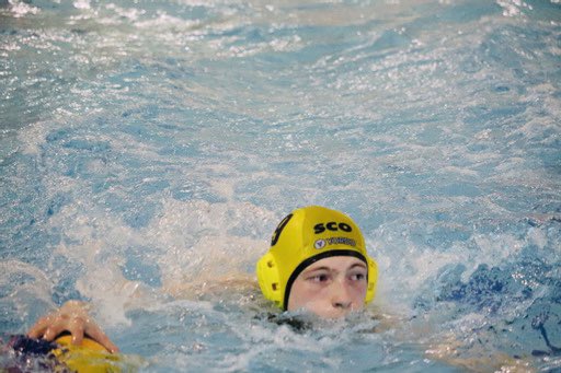 Alison Sheppard MBE tweet media