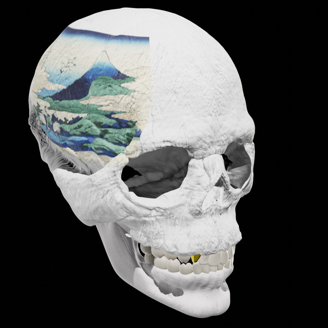 富嶽三十六景　〇/46
Ukiyo-e skull made for profile picture.
#NFT #opensea 
opensea.io/assets/0x495f9…