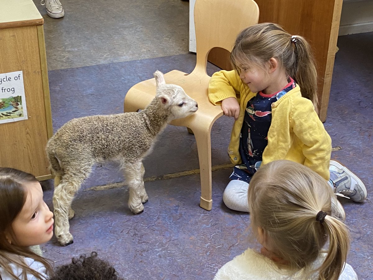 Woodlands- Spring time on the farm. One of our girls brought a lamb to nursery this morning. Emily,the lamb, is 2 days old and was very chilled during her visit to the nursery. 🐑 She is so cute!@DunbarPrimary #ARCH #Realisingtheambition #springtime #shareourlearning #EARLYYEARS