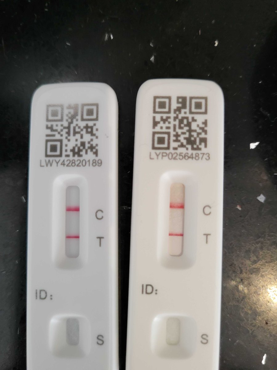 Matt Koster-Marcon tweet media