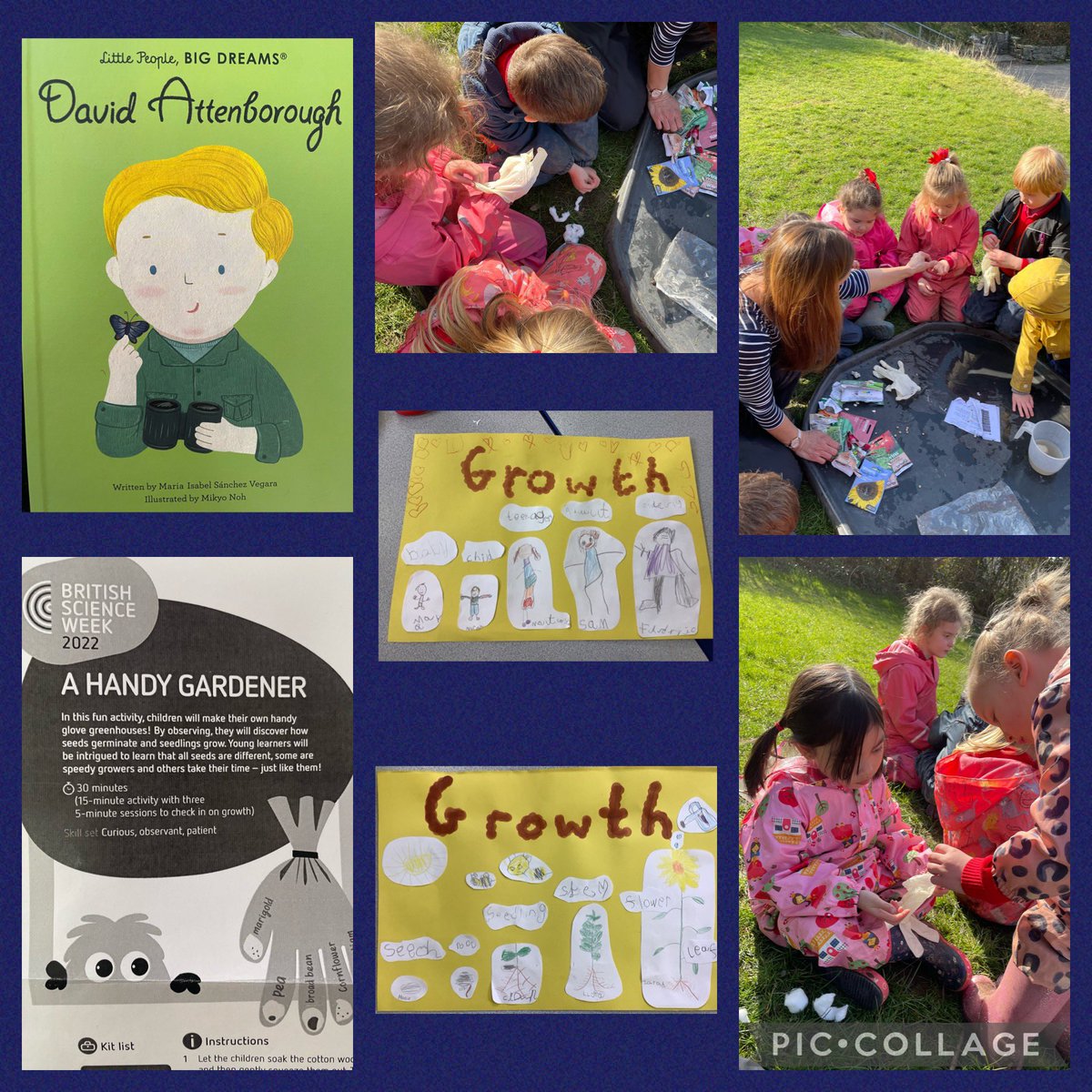 StHelensRC's tweet photo. Reception are enjoying learning about David Attenborough @AttenboroughSir and growing this week #StHelensScienceWeek https://t.co/vYvkzX93T7