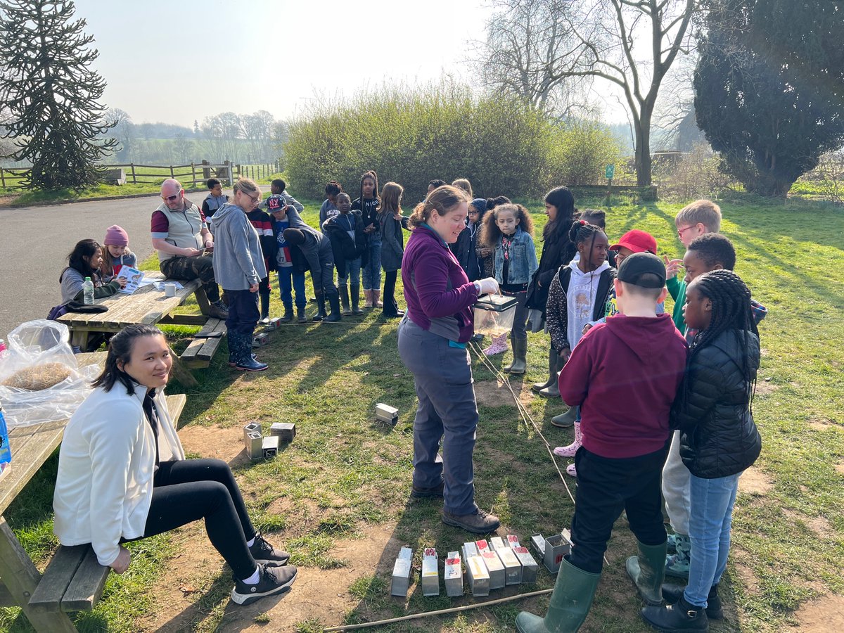 stpatsprimary's tweet photo. Year 5 are over the moon that they’ve caught a wood mouse using the mammal hotels! They used identification cards to find out what rodent they are looking at. #prestonmontford 🐭 https://t.co/sgabqwz70E