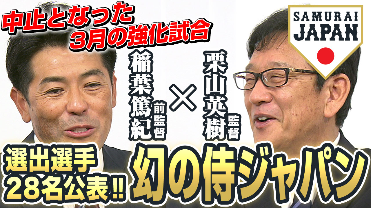 レッグガード　野球日本代表　稲葉監督　実使用 レッグガード 野球日本代表 稲葉監督 実使用