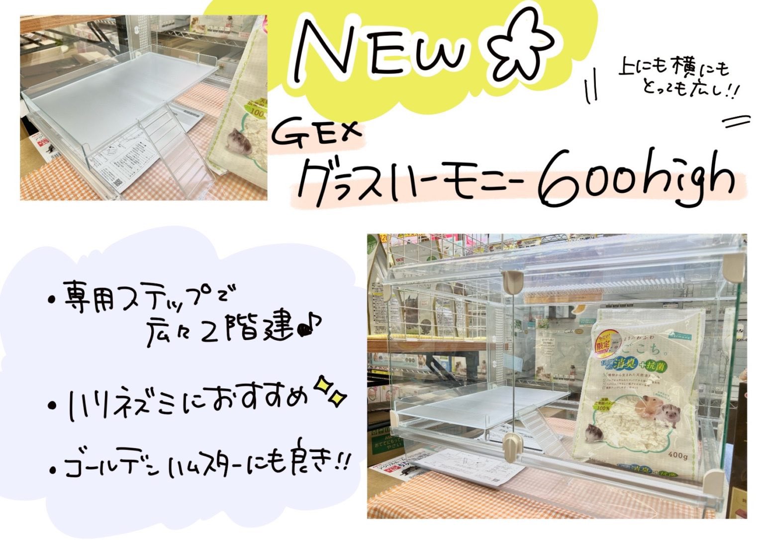 Twitter 上的 ペポニ@インター店: Twitter 上的 ペポニ@インター店: