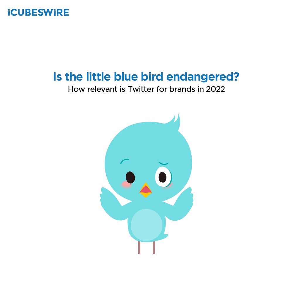 icubes_wire's tweet photo. #MidWeekTrivia

#Twitter is always in talks but is it a relevant conversation for #brands? Checkout some insights and tips on how to leverage #Twitter in your #socialstrategy.

(1/5) https://t.co/xyotJNXt6l