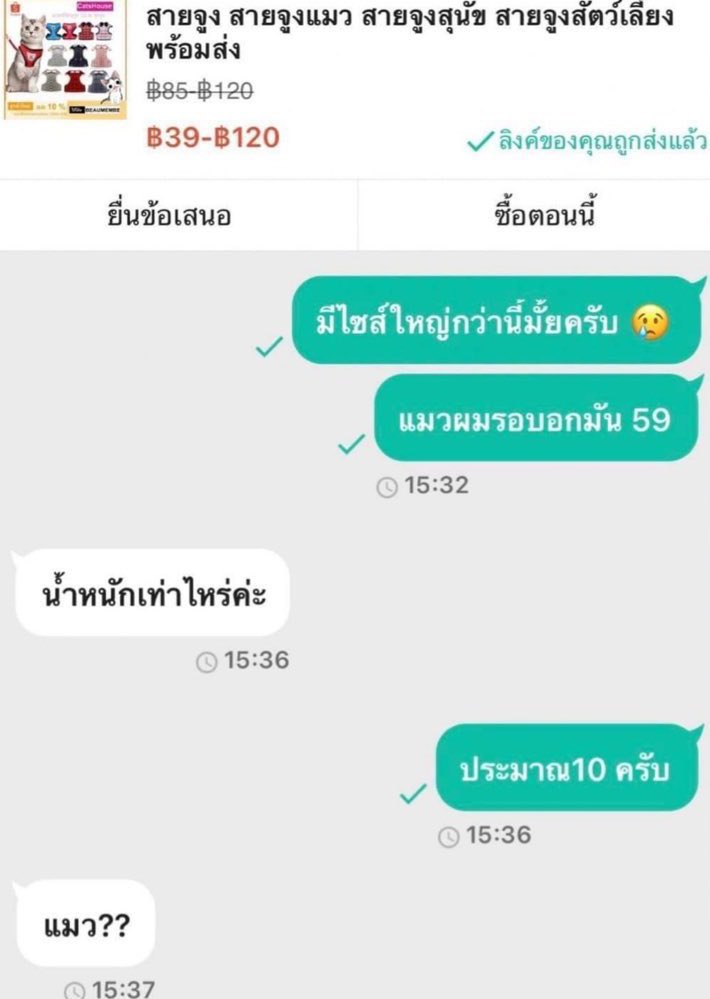 เตงชิปมินโน่ไหมคะ? tweet media