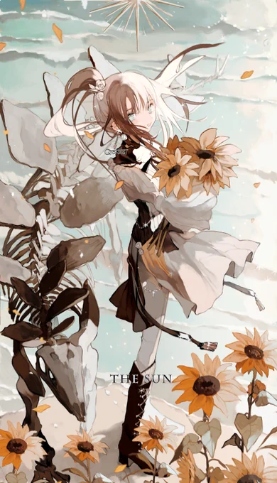 The Sun🌻太陽 