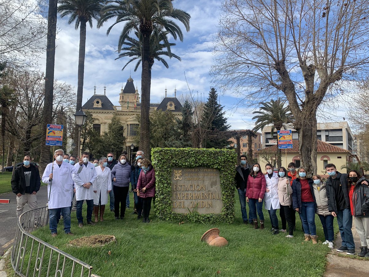 germantortosa's tweet photo. Hoy miércoles nos toca manifestarnos en la @EEZCSIC @CSIC en favor de la carrera técnica y de gestión en la ciencia @tecopis_oficial 

Por una #LeyDeLaCienciaJusta con #CarreraTecnicaYa para técnicos y personal de gestión 
#SinTecnicoNoHayFuturo #SinCienciaNoHayFuturo https://t.co/1mdkq3OqJv
