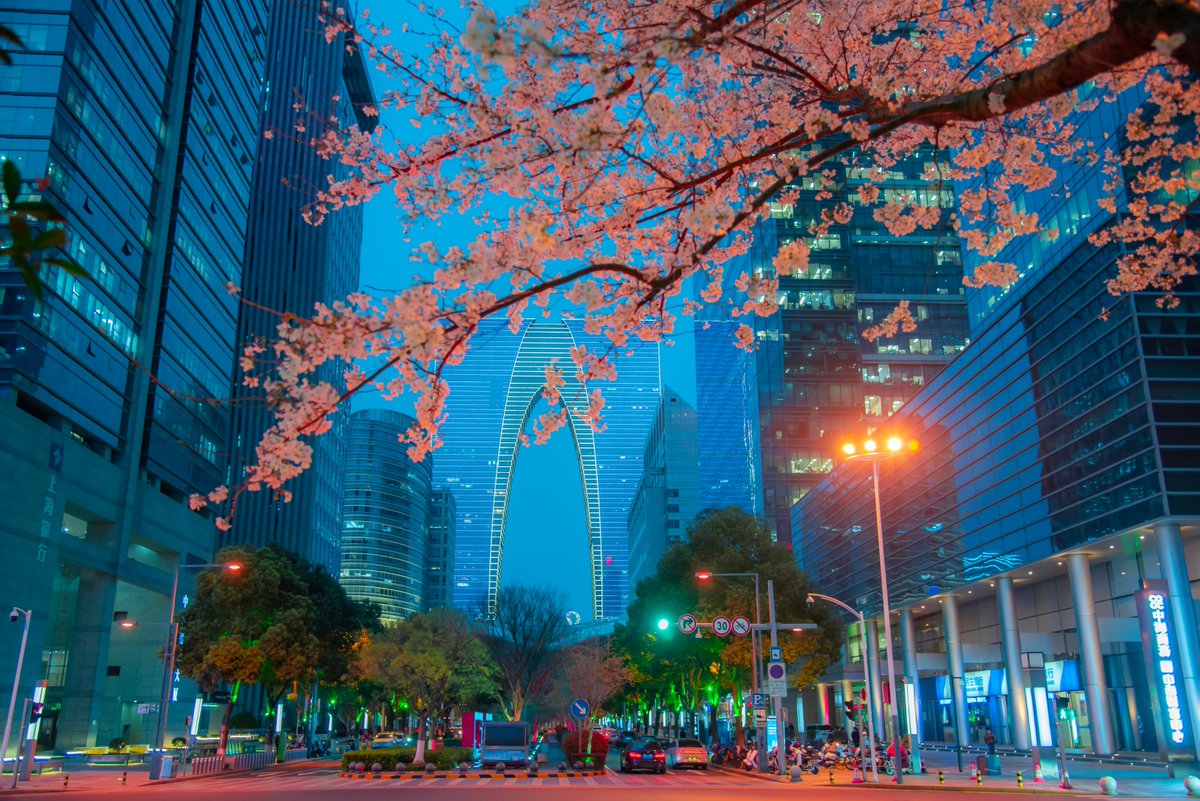 ThisisSuzhou's tweet photo. As #spring breathes new life into the city, cherry blossoms🌸🌸 are in full bloom against the backdrop of the illuminated Oriental Gate, a #Suzhou landmark📍, making for a stunning sight. [Photo/IC] #SpringInSuzhou #Nature https://t.co/kV03jWPNMh